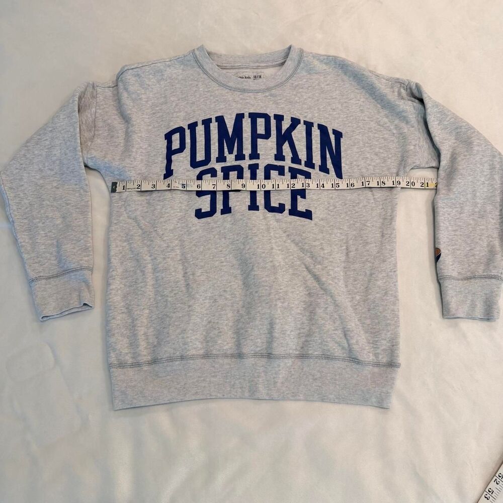 Abercrombie Kids Girls Grey and Blue Sweatshirt